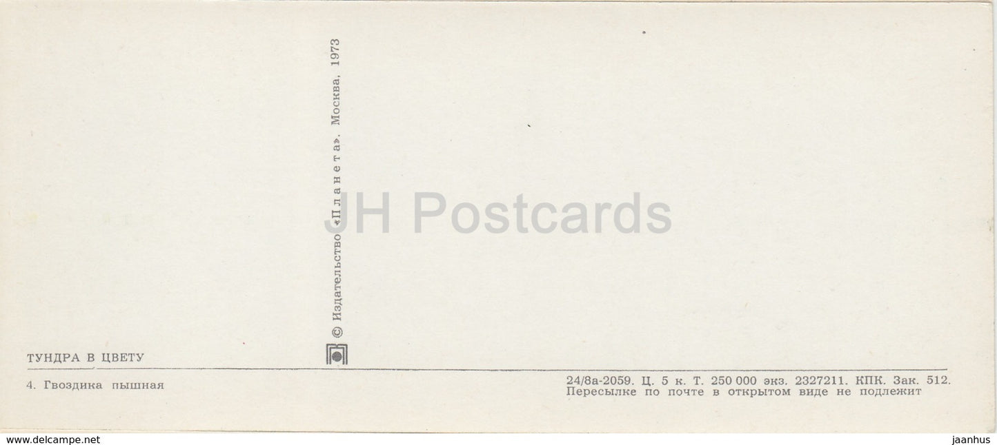 Fransenrosa - Dianthus superbus - Schlittenhunde - Pflanzen - Tundra in Blüte - 1973 - Russland UdSSR - unbenutzt