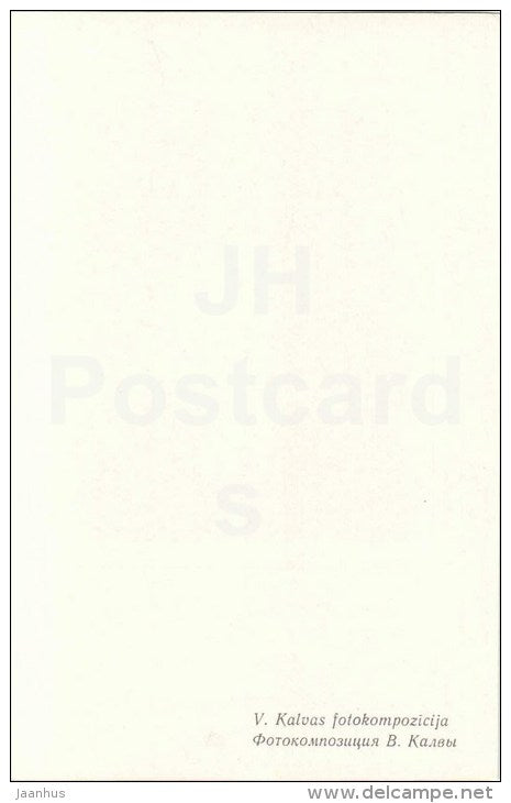 white carnation - ikebana - flowers composition - 1981 - Latvia USSR - unused - JH Postcards