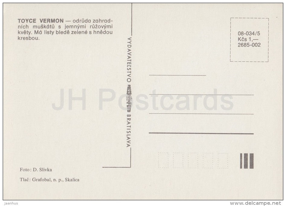 Toyce Vermon - flowers - Geranium - 1985 - Czech - Czechoslovakia - unused - JH Postcards