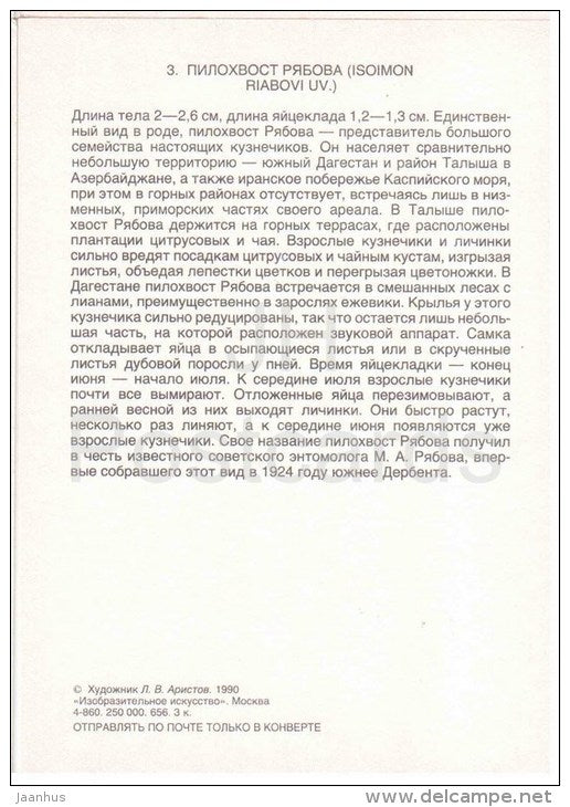 Isoimon riabovi - Grasshopper - Cricket - insects - 1990 - Russia USSR - unused - JH Postcards