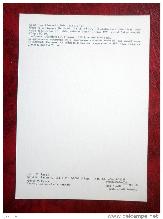 Cambridge - Iris varieties - flowers - 1984 - Estonia USSR - unused - JH Postcards
