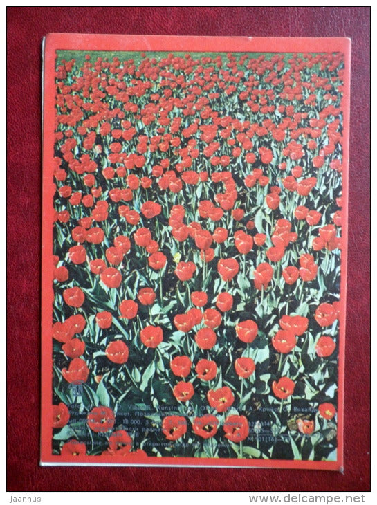 Greeting Card - Ladies in Estonian folk costumes - tulips - flowers - 1978 - Estonia USSR - unused - JH Postcards