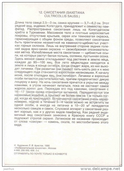 Saxetania cultricollis - Grasshopper - Cricket - insects - 1990 - Russia USSR - unused - JH Postcards