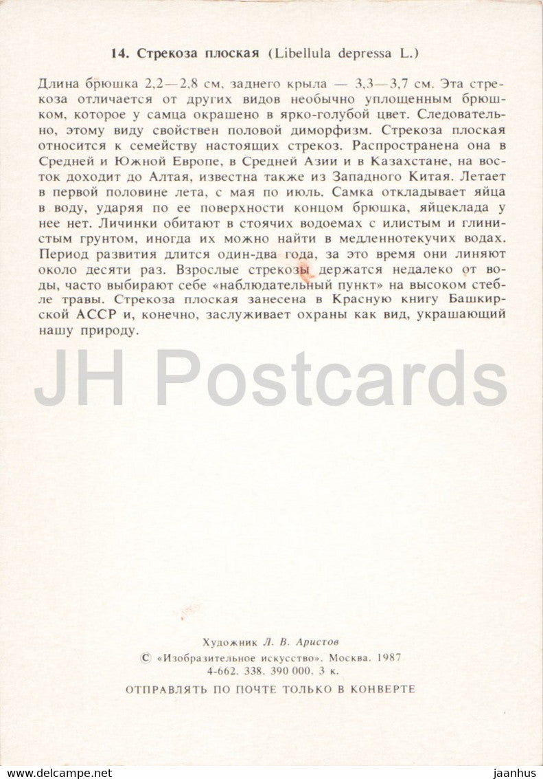 Libellula depressa – Der Breitkörperjäger – Libelle – Insekten – Illustration – 1987 – Russland UdSSR – unbenutzt