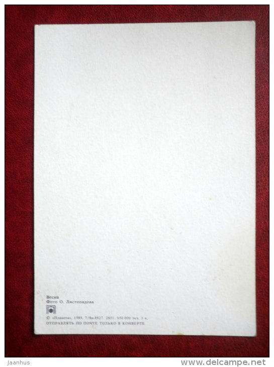 New Year greeting card - spring - river - 1989 - Russia USSR - unused - JH Postcards