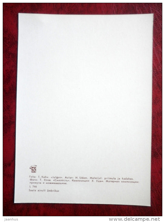 flower composition, ikebana - Courage - primrose - juniper - 1980 - Estonia USSR - unused - JH Postcards