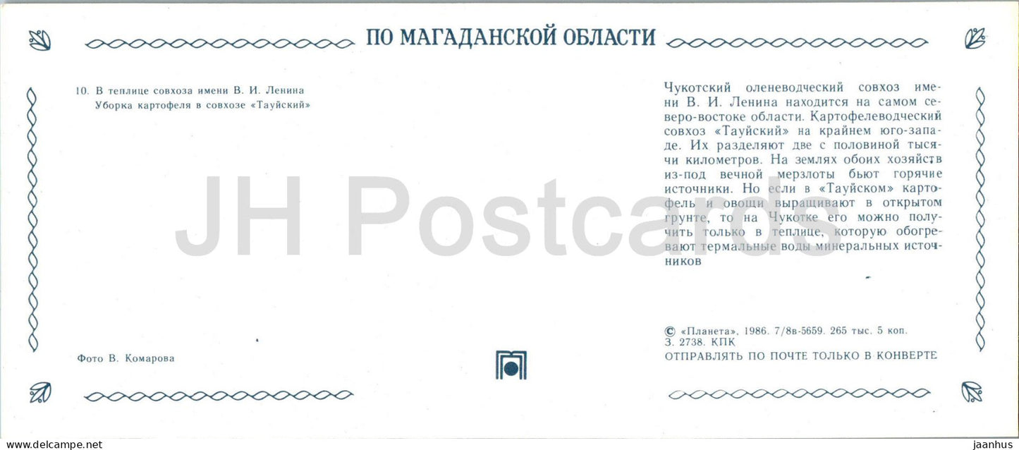 im Gewächshaus der Lenin-Staatsfarm - Kartoffelernte - Auto - Region Magadan - 1986 - Russland UdSSR - unbenutzt