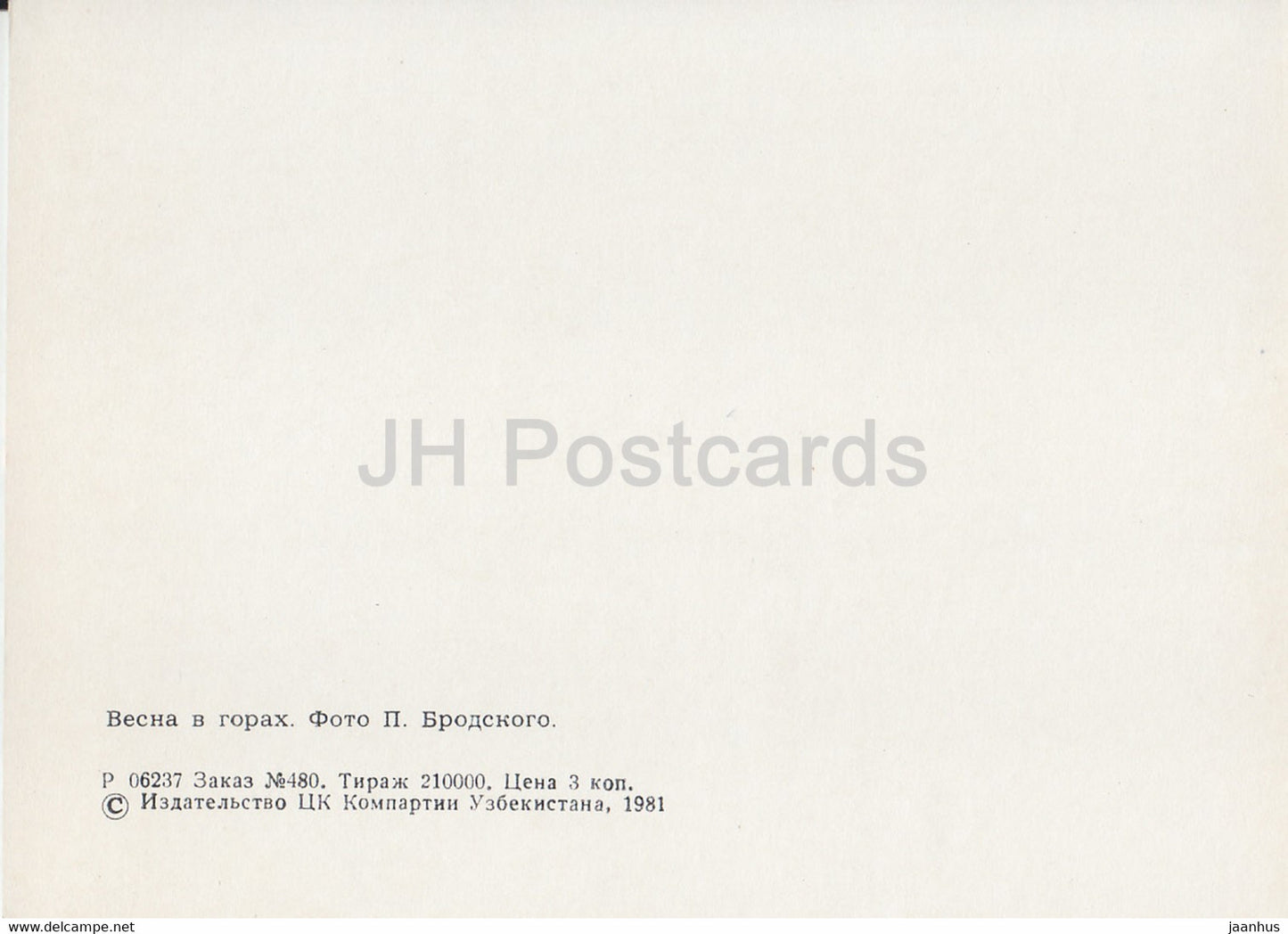 printemps dans les montagnes - fleurs - Sentiers naturels - 1981 - Ouzbékistan URSS - inutilisé