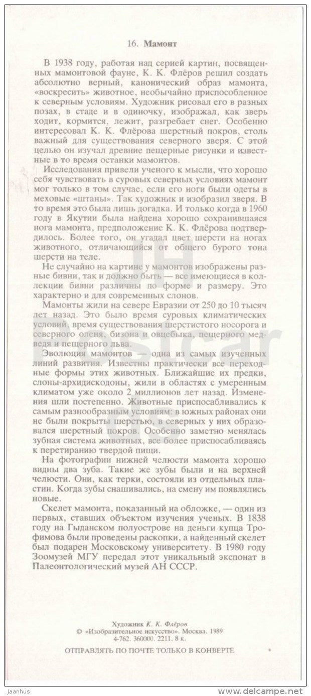 Woolly mammoth - Mammuthus primigenius - jawbone - illustration by Flerov - paleontology - 1989 - Russia USSR - unused - JH Postcards