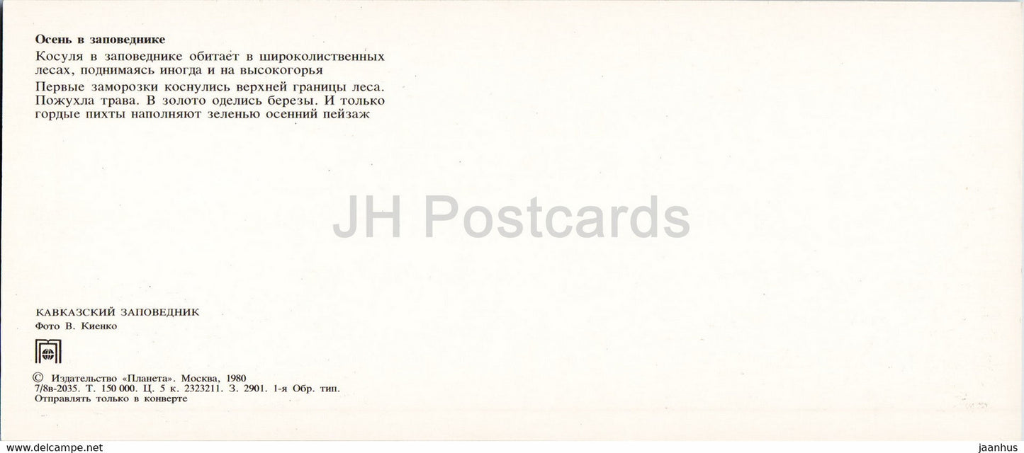 Rehe - Tiere - Kaukasisches Naturschutzgebiet - 1980 - Russland UdSSR - unbenutzt