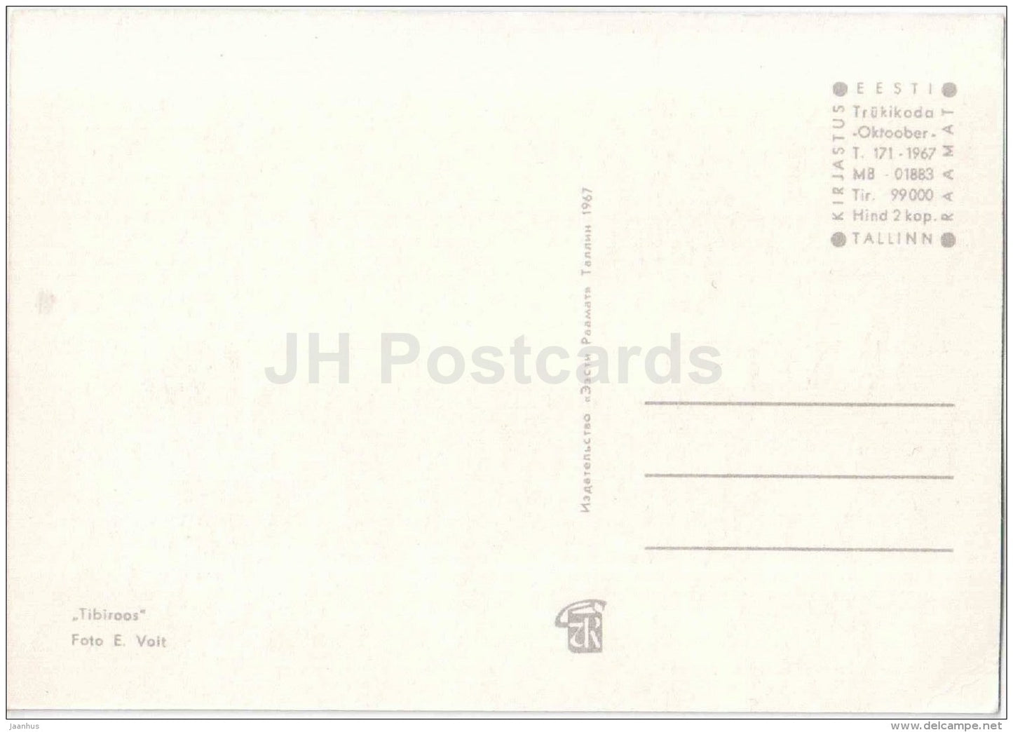 White Chick Rose - flowers - 1967 - Estonia USSR - unused - JH Postcards