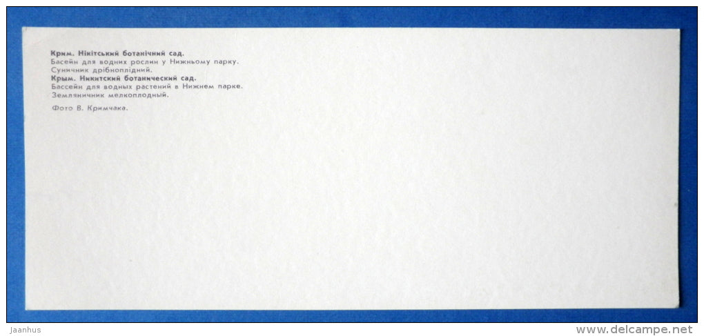 pool for aquatic plants in Lower Park - Greek Strawberry Tree - Nikitsky Botanical Garden - 1981 - Ukraine USSR - unused - JH Postcards