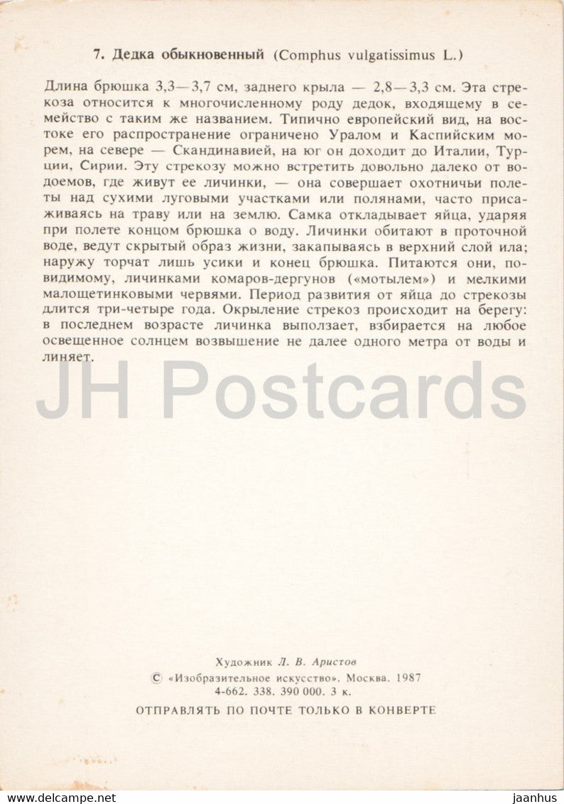 Gomphus vulgatissimus - Der Gewöhnliche Keulenschwanz - Libelle - Insekten - Illustration - 1987 - Russland UdSSR - unbenutzt