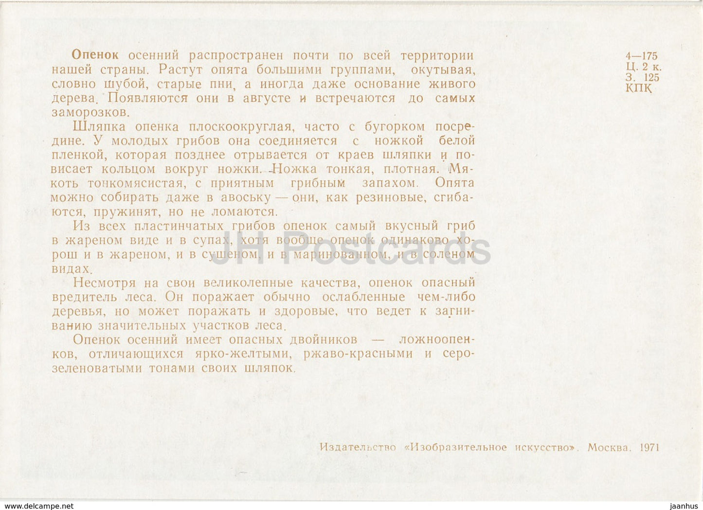 Champignon du miel - Armillaria mellea - champignons - illustration - 1971 - Russie URSS - inutilisé