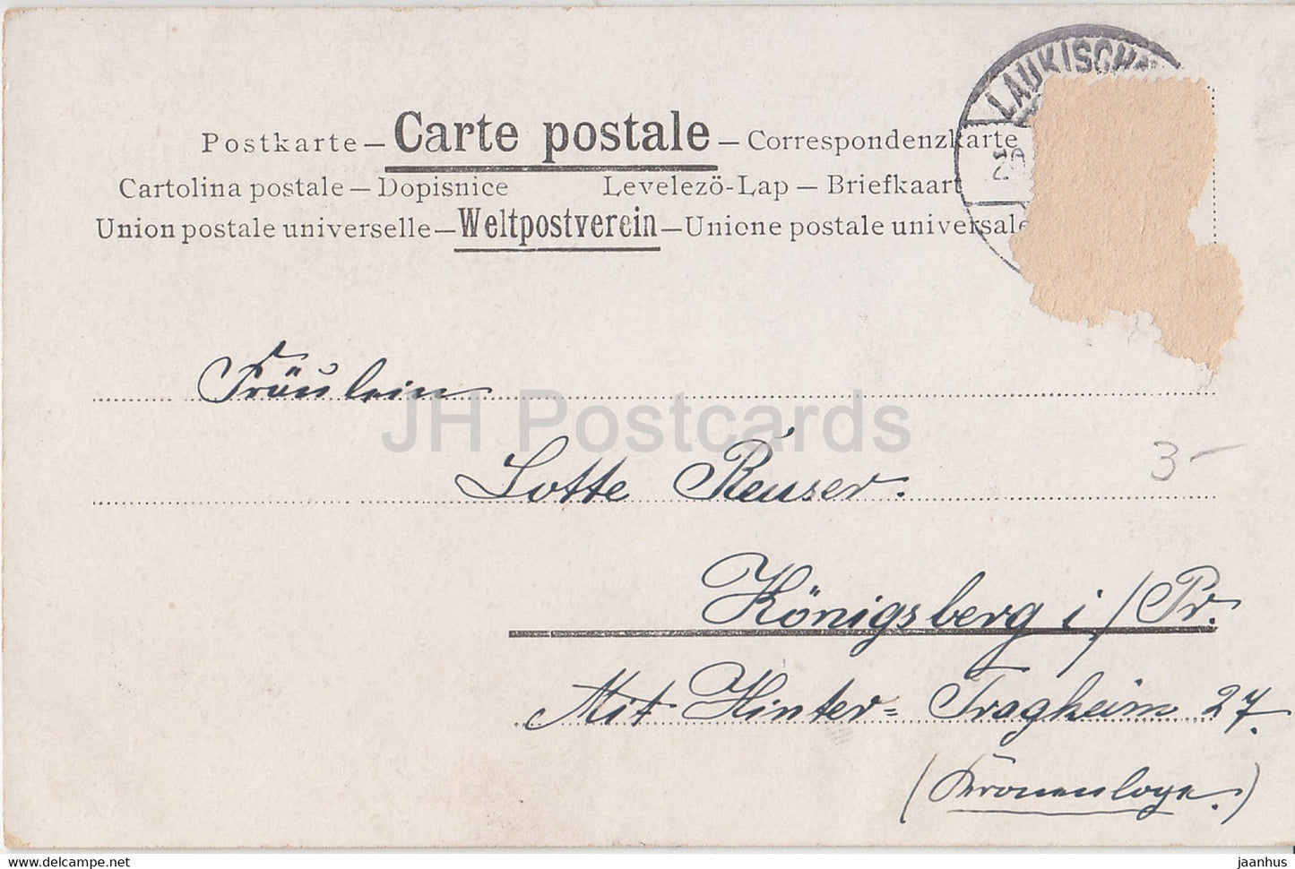 flowers - illustration - old postcard - 1902 - used