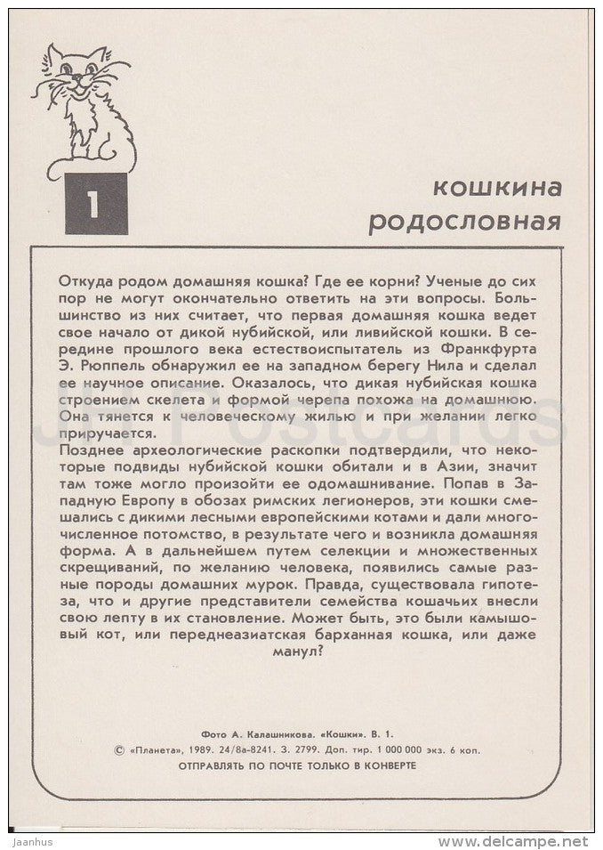 European shorthair Red Cat - cats - Russia USSR - 1989 - unused - JH Postcards