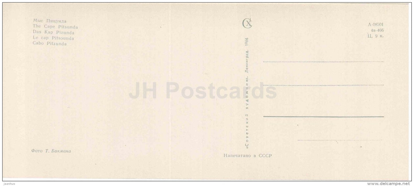 The Cape Pitsunda - Abkhazia - Caucasus - 1966 - Georgia USSR - unused - JH Postcards