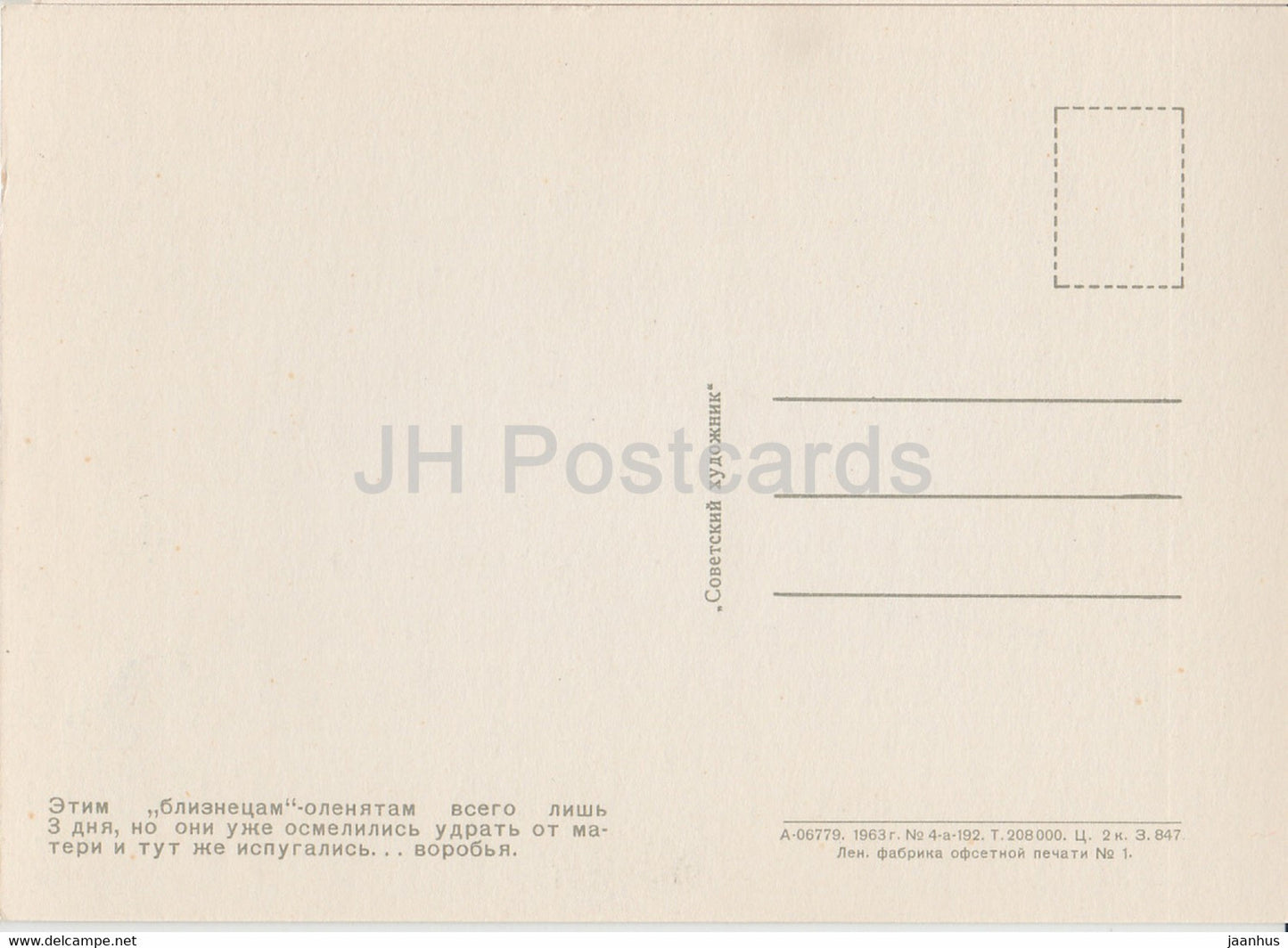 Deer - Moscow Zoo - 1963 - Russia USSR - unused