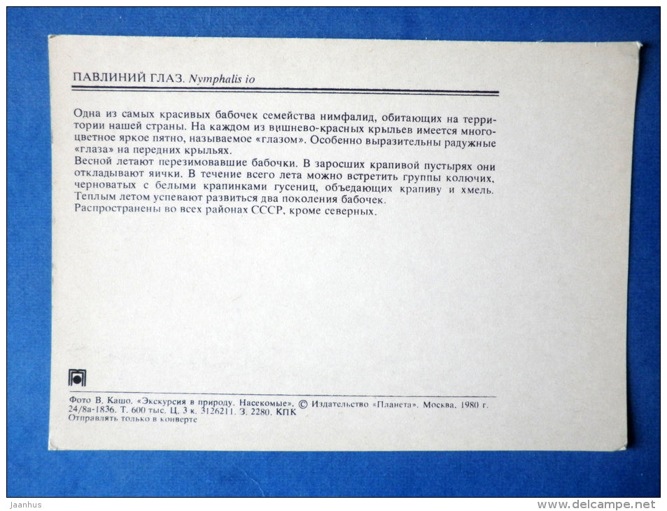 Peacock butterfly - Nymphalis io - butterfly - insects - 1980 - Russia USSR - unused - JH Postcards