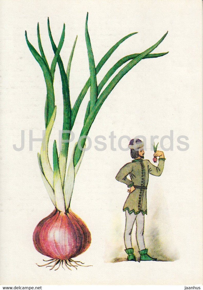 Onion - Spice Plants - 1986 - Russia USSR - unused - JH Postcards