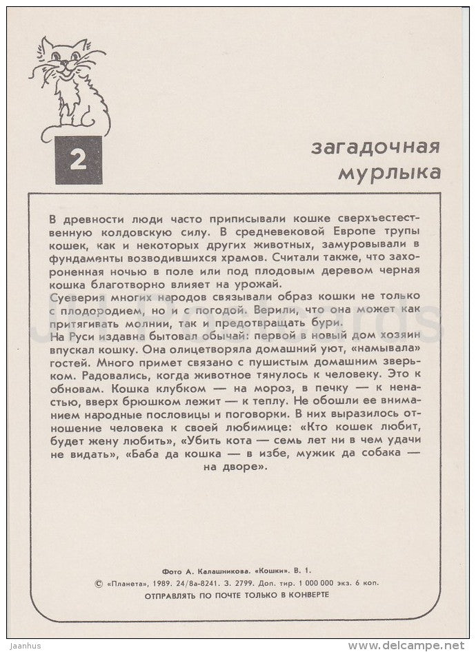 Persian Tortoiseshell Cat - cats - Russia USSR - 1989 - unused - JH Postcards