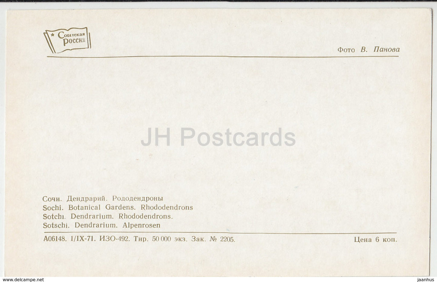 Sochi - Dendrarium - Rhododendrons - flowers - 1971 - Russia USSR - unused
