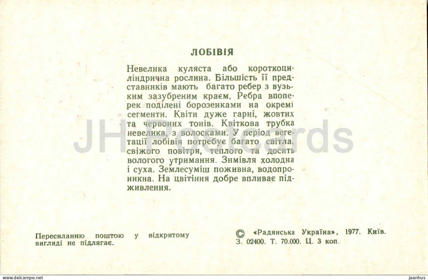 Lobivia - cacti - cactus - flowers - 1977 - Ukraine USSR - unused