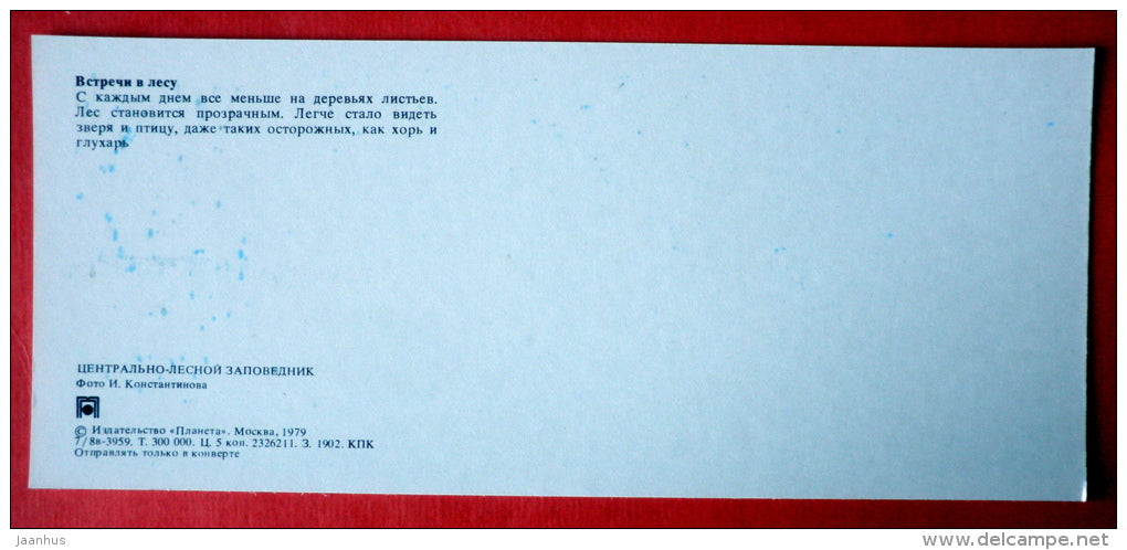 weasel - capercaillie - birds - Tsentralno-Lesnoy Nature Reserve - 1979 - USSR Russia - unused - JH Postcards