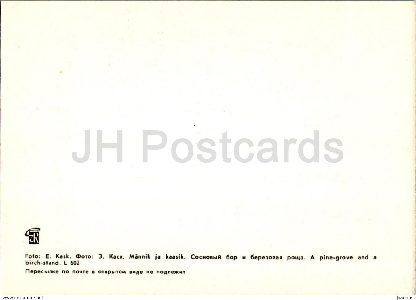 Lahemaa - Une pinède et un peuplement de bouleaux - 1 - 1978 - Estonie URSS - inutilisé