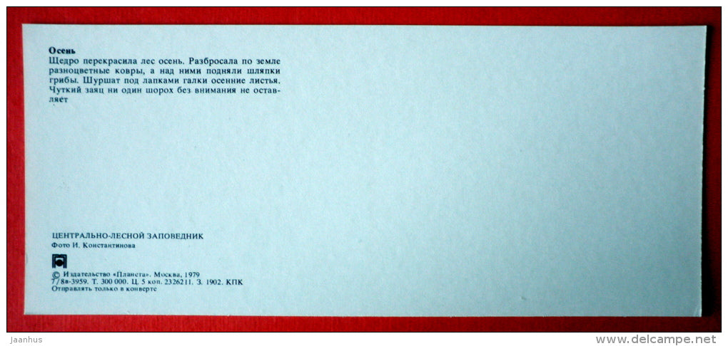 Western Jackdaw - birds - hare - mushrooms - autumn - Tsentralno-Lesnoy Nature Reserve - 1979 - USSR Russia - unused - JH Postcards