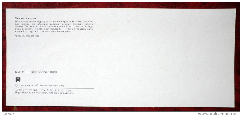 chipmunk - Northern Goshawk - birds - Barguzinsky Nature Reserve - near lake Baikal - 1975 - Russia USSR - unused - JH Postcards