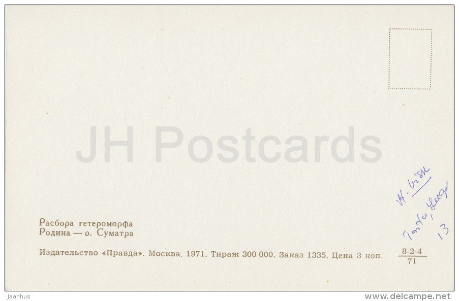 Harlequin rasbora , Rasbora heteromorpha - Aquarium Fish - Russia USSR - 1971 - unused - JH Postcards