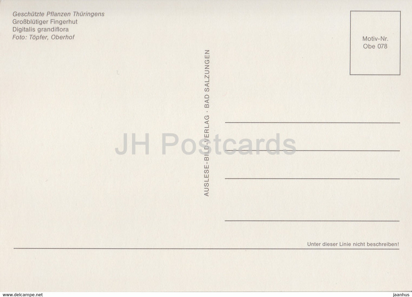 Yellow foxglove - Digitalis grandiflora - Geschutzte Pflanzen - Protected plants - DDR Germany - unused