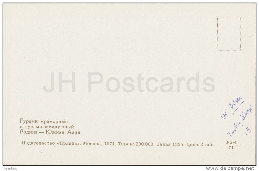 Gourami - Aquarium Fish - Russia USSR - 1971 - unused - JH Postcards