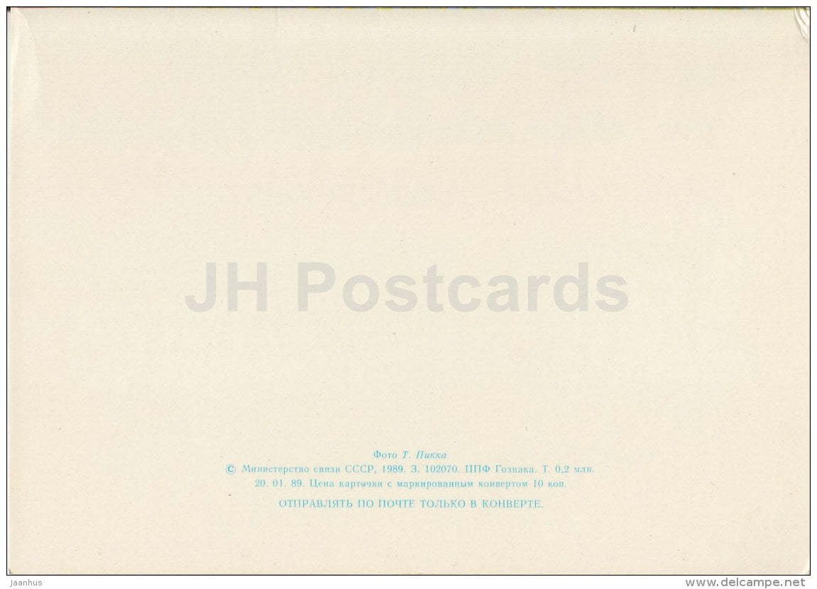 New Year Greeting Card - Santa Claus - Ded Moroz - 1989 - Russia USSR - used - JH Postcards