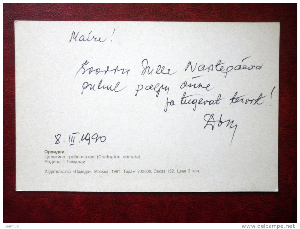 Greeting Card - orchid - Coelogine cristata - flowers - 1981 - Russia USSR - used - JH Postcards