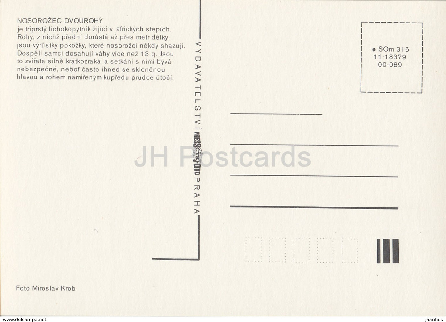 Black rhinoceros - Diceros bicornis - Zoo - Czechoslovakia - Czech Republic - unused