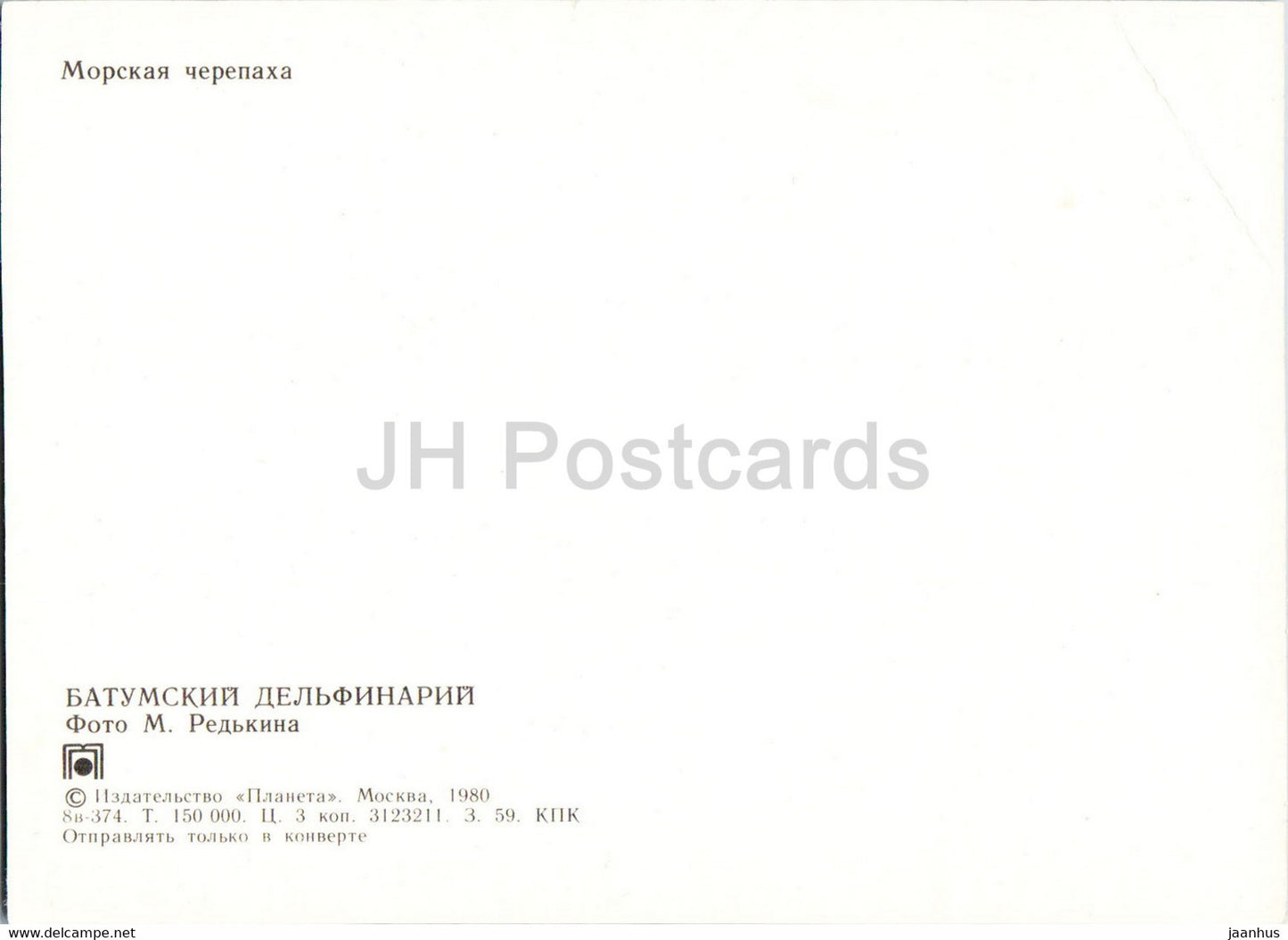 Batumi Dolphinarium - tortue de mer - 1980 - Géorgie URSS - inutilisé