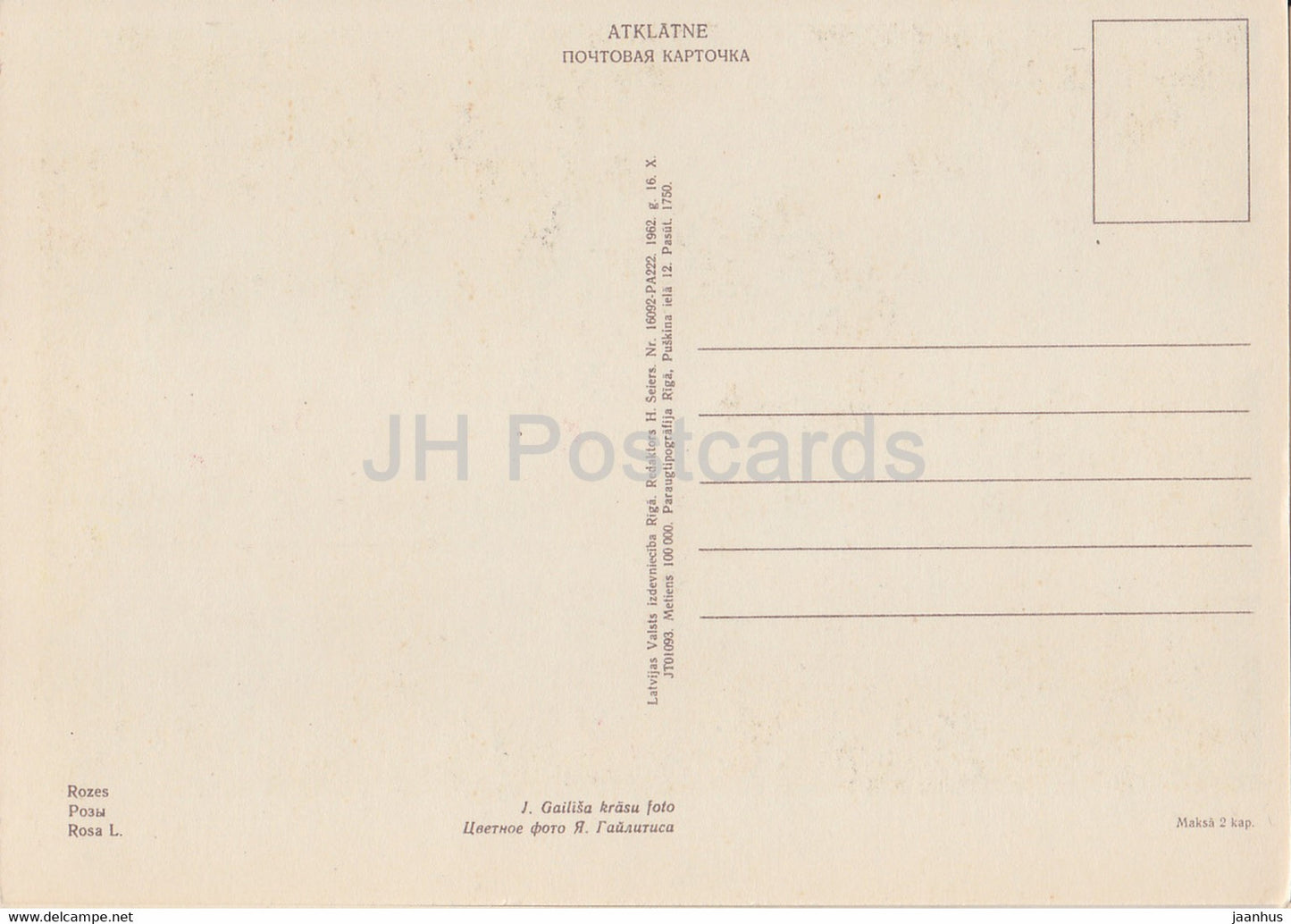 Rose - flowers - plants - 1962 - Latvia USSR - unused