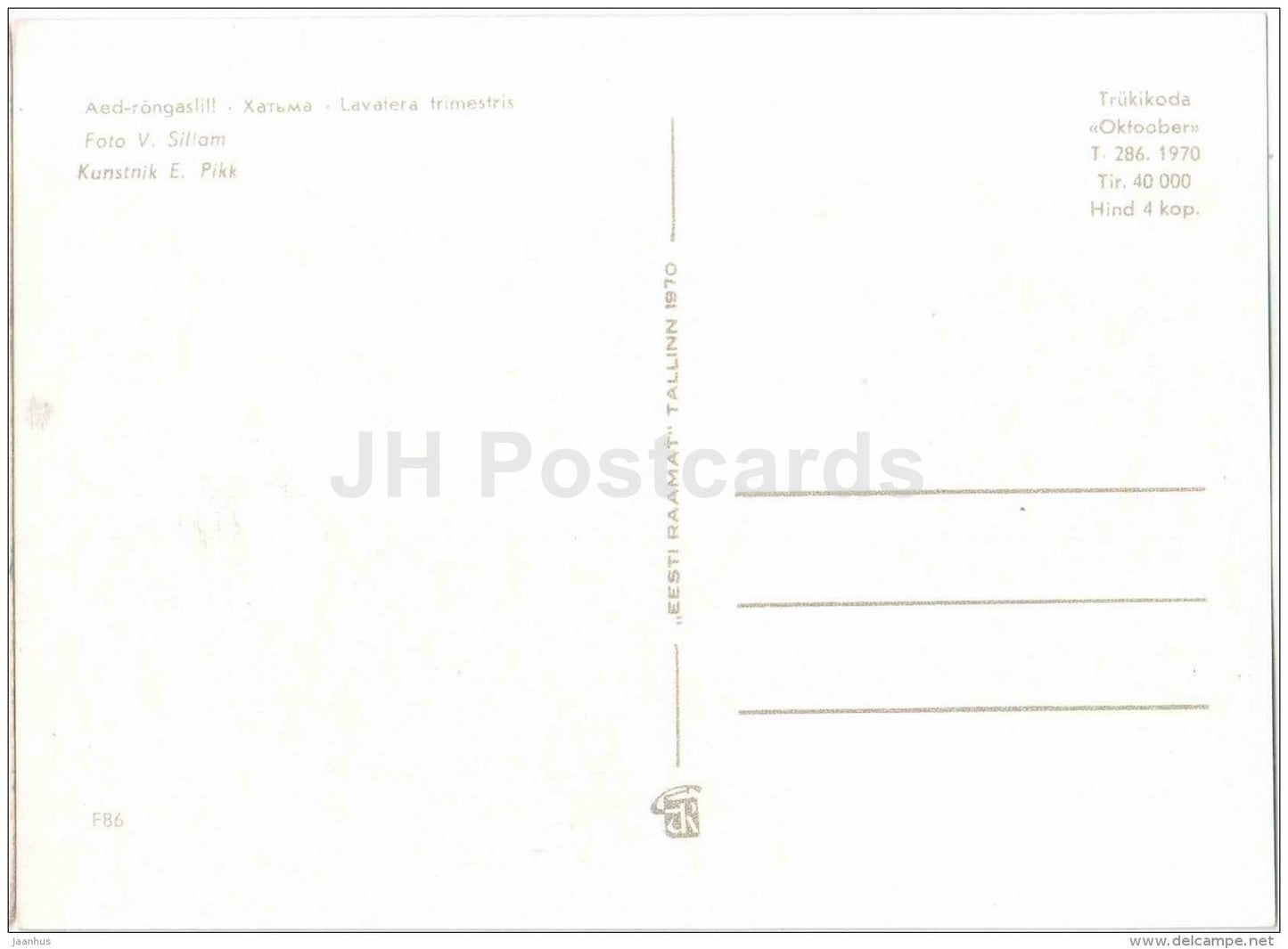 Pink Beauty - Lavatera trimestris - flowers - 1970 - Estonia USSR - unused - JH Postcards