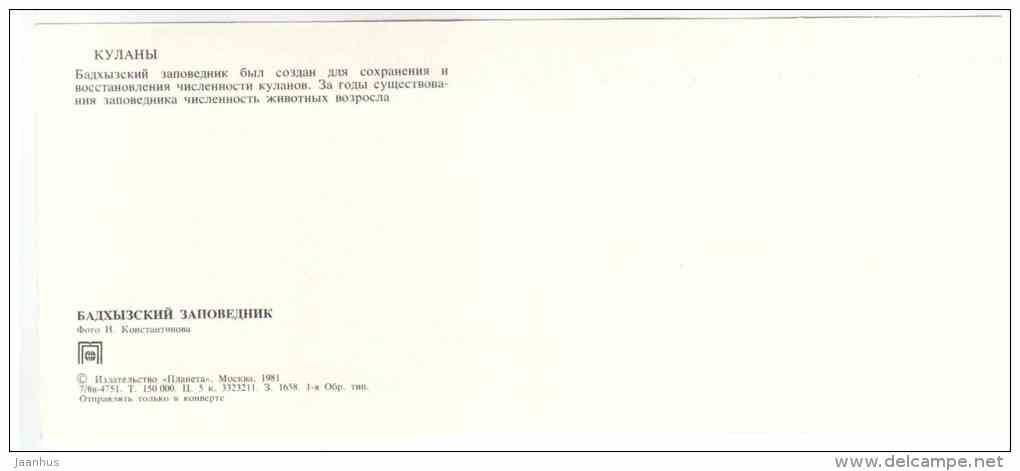 Turkmenian kulan - Equus hemionus kulan - Badhyz State Nature Reserve - 1981 - Turkmenistan USSR - unused - JH Postcards