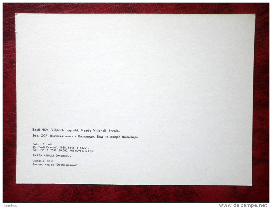 Hanging bridge in Viljandi, Viljandi lake view - 1988 - Estonia - USSR - unused - JH Postcards