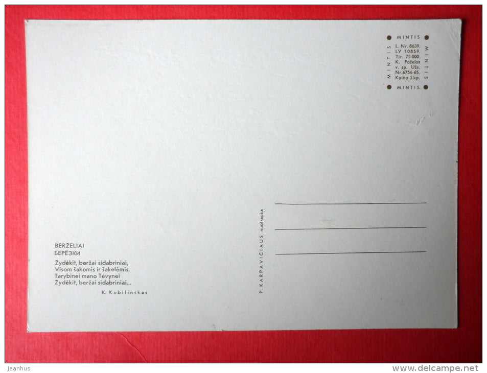 Birch trees - Lithuania USSR - unused - JH Postcards