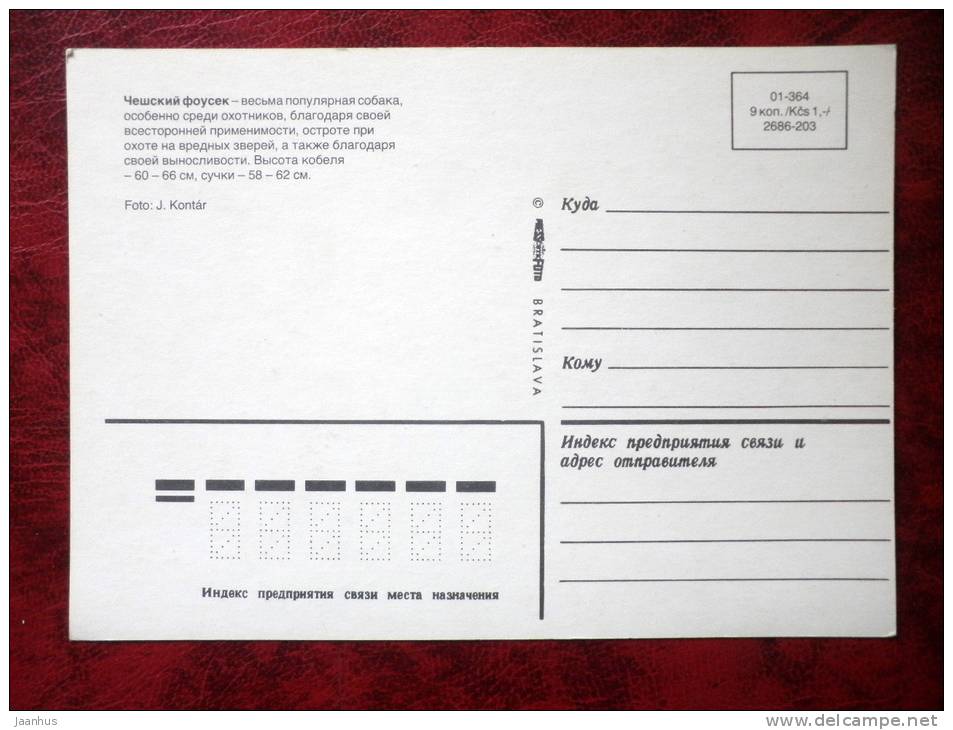 Cesky Fousek - dogs - Czechoslovakia - unused - JH Postcards