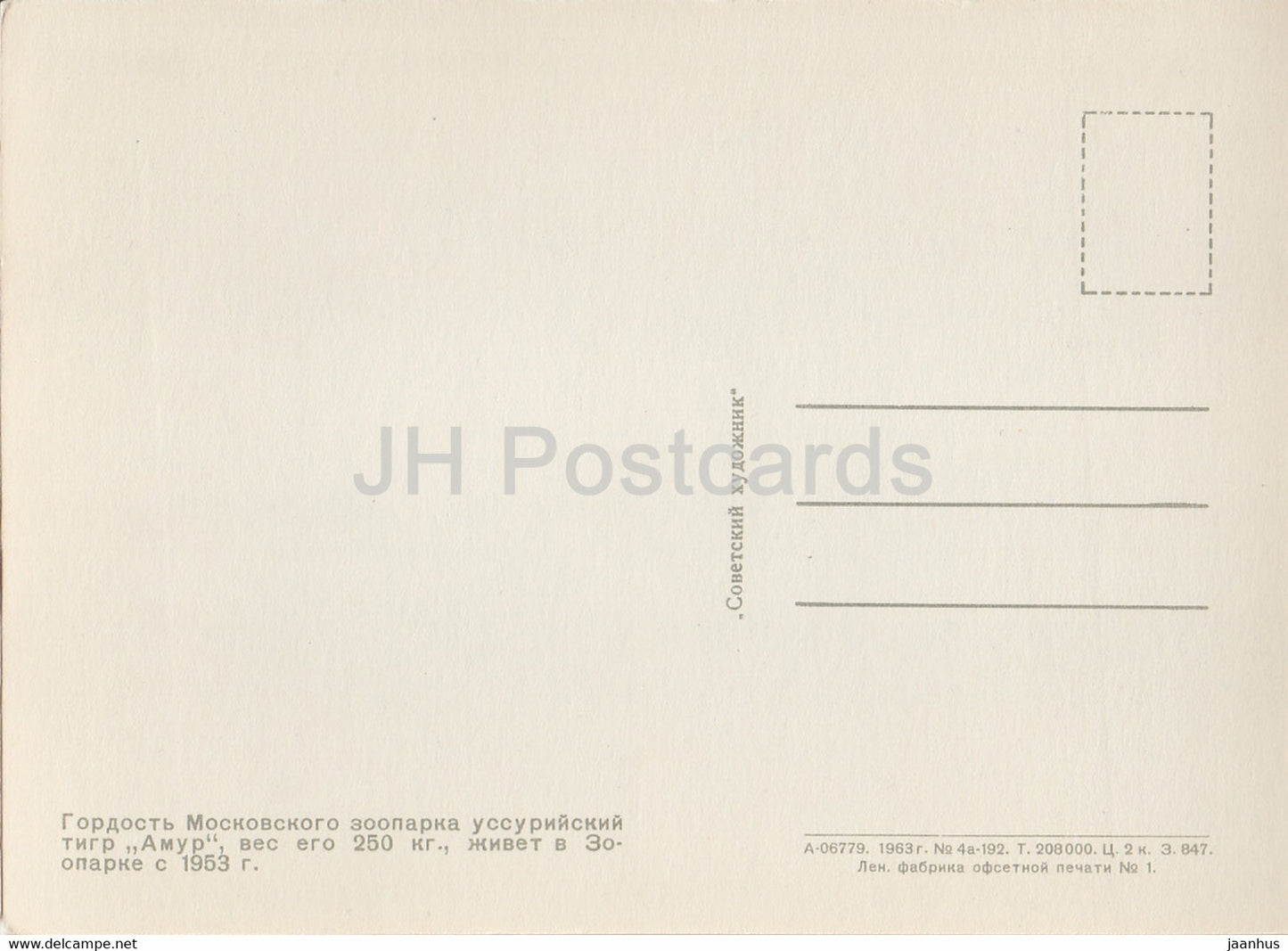 Siberian Tiger - Panthera tigris altaica - Moscow Zoo - 1963 - Russia USSR - unused