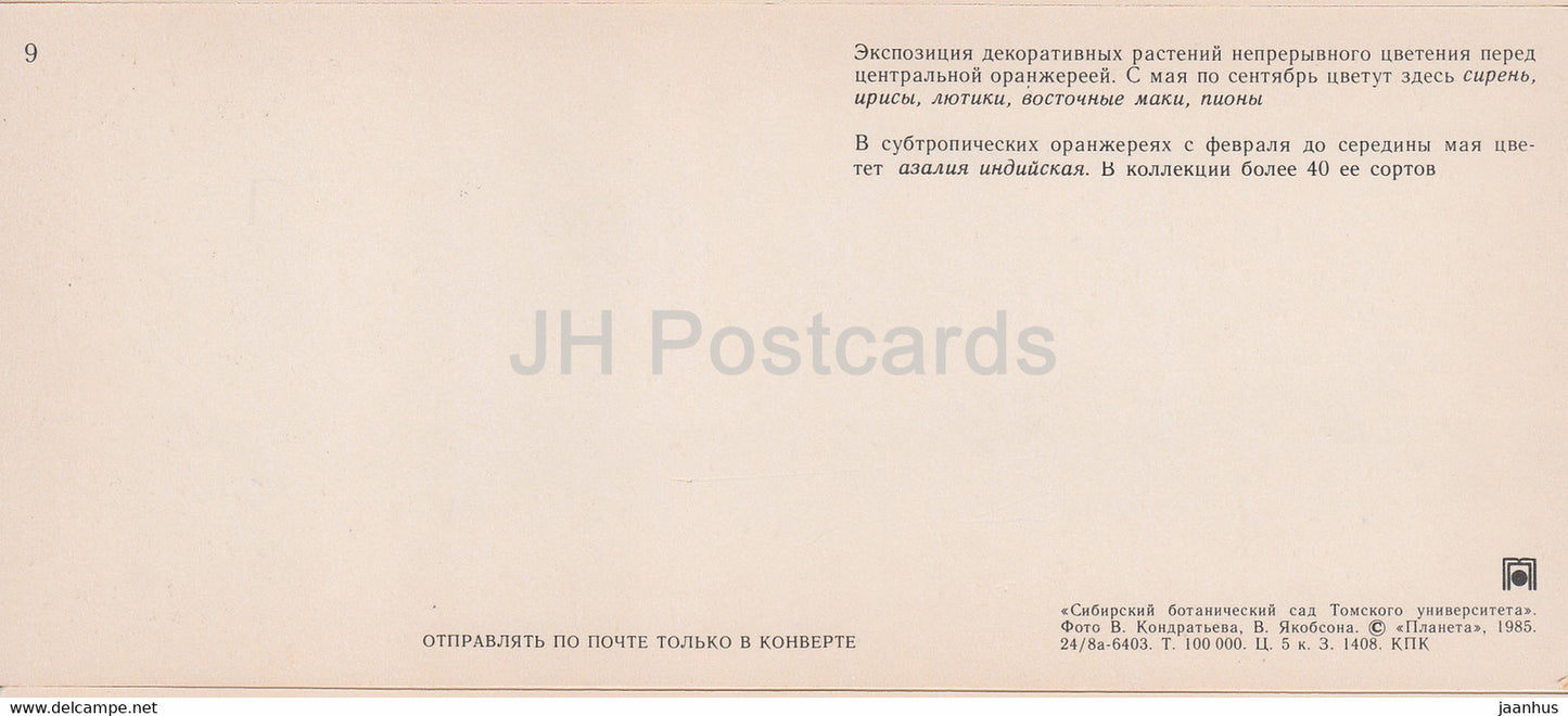 Rhododendron indicum - Azalea - flowers - Siberian Botanical Garden - 1985 - Russia USSR - unused