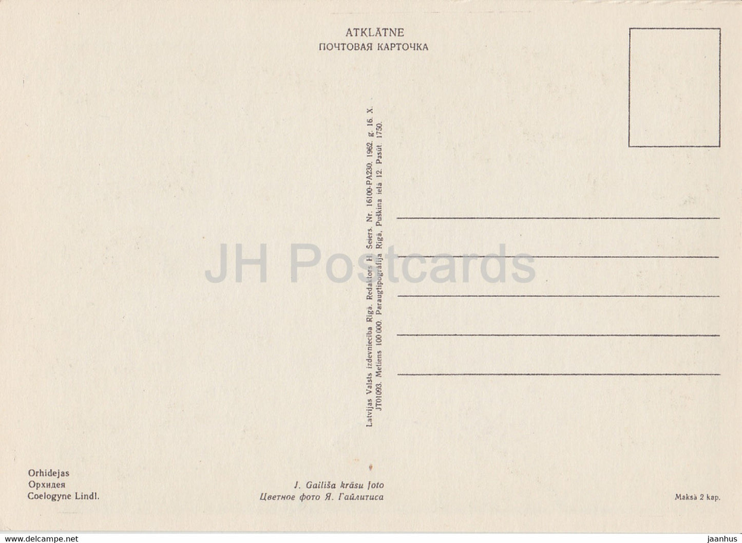 Orchid - Coelogyne - flowers - plants - 1962 - Latvia USSR - unused