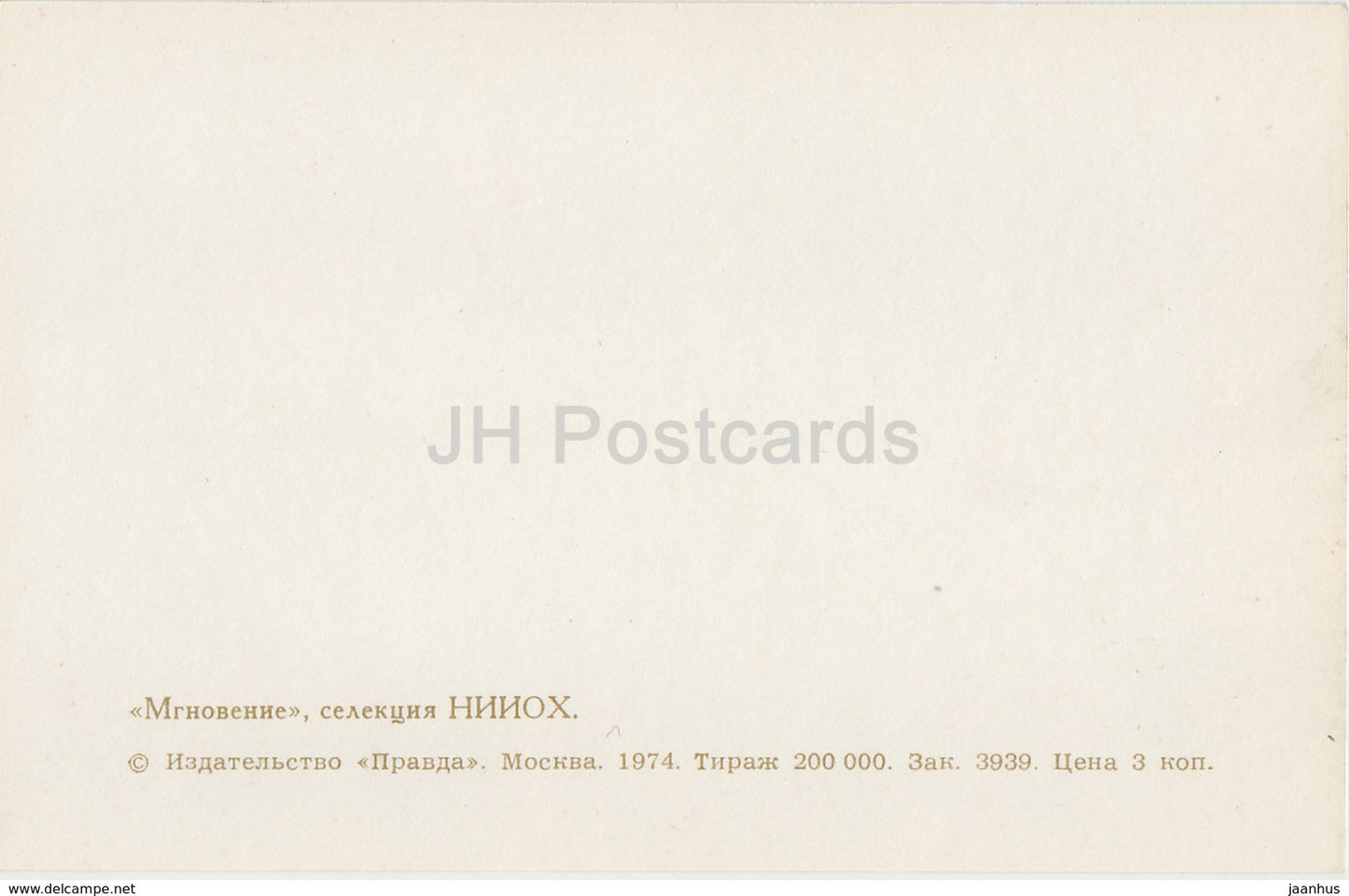 A Moment - Gladiolus - Flowers - 1974 - Russia USSR - unused - JH Postcards