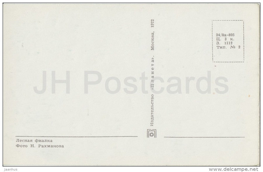 Forest Violet - flower - Flowers of Russia - 1972 - Russia USSR - unused - JH Postcards