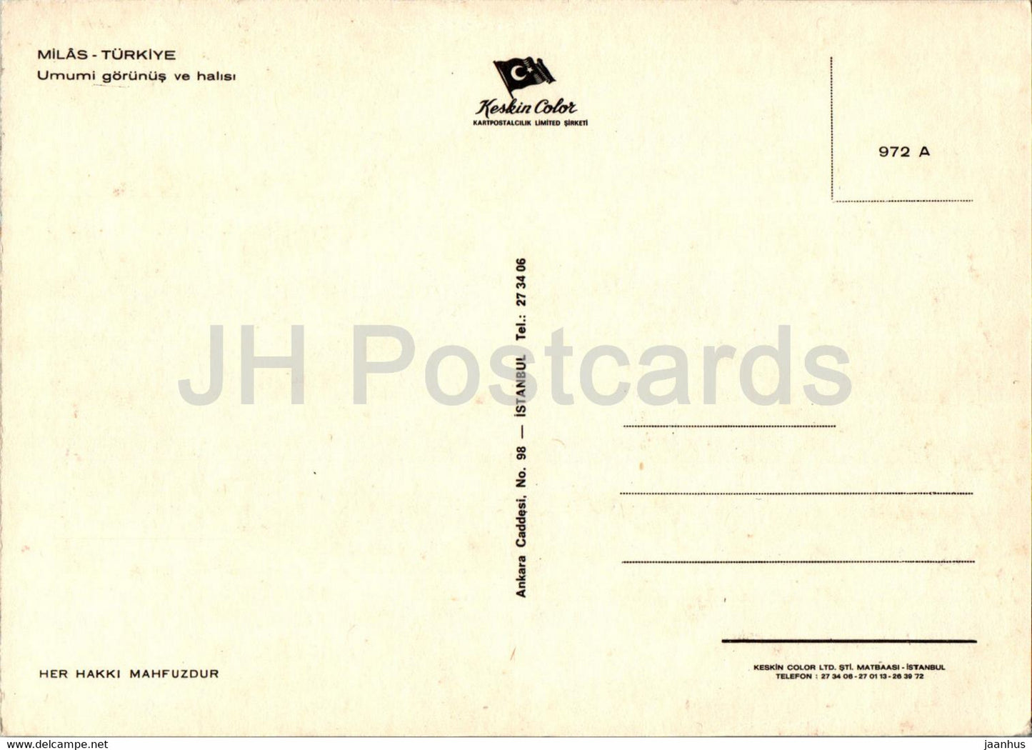 Milas - Umumi gorunus ve halisi - general view - carpet - 972 - Turkey - unused